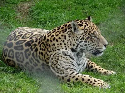 Paseos y Actividades Reserva de Fauna y Parque Cerro Pan de Azúcar Piriápolis