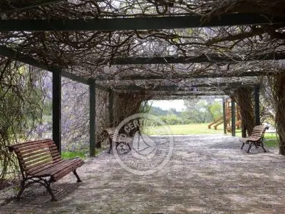 Paseos y Actividades Reserva de Fauna y Parque Cerro Pan de Azúcar Piriápolis