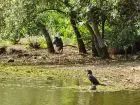 Paseos y Actividades Reserva de Fauna y Parque Cerro Pan de Azúcar Piriápolis