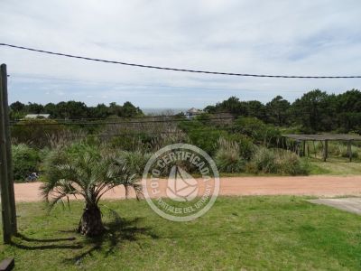 House Afrodita Punta del Diablo