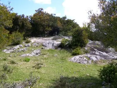 Terrenos Campo en Garzón Punta del Diablo