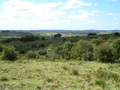 Lotes Campo en Garzón Punta del Diablo