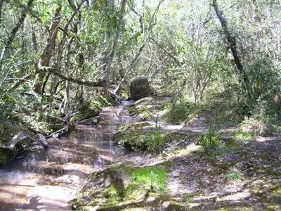 Terrenos Campo en Garzón Punta del Diablo