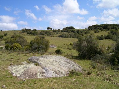 Lotes Campo en Garzón Punta del Diablo