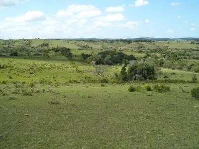 Terrenos Campo en Garzón Punta del Diablo
