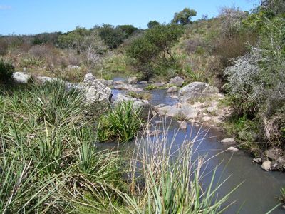 Lotes Campo en Garzón Punta del Diablo