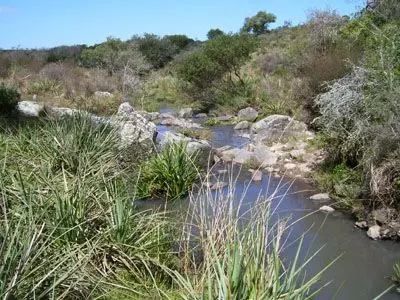 Terrenos Campo en Garzón Punta del Diablo