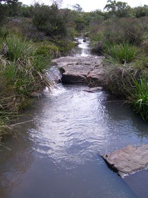 Lotes Campo en Garzón Punta del Diablo