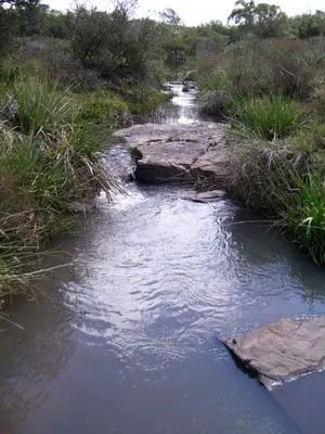 Terrenos Campo en Garzón Punta del Diablo