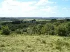 Terrenos Campo en Garzón Punta del Diablo