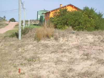 Lotes Manz.184  Punta del Diablo