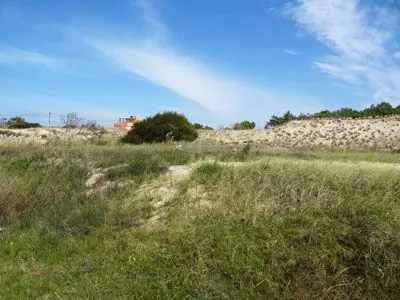 Terreno M180 S15 - Inmobiliaria Gerali