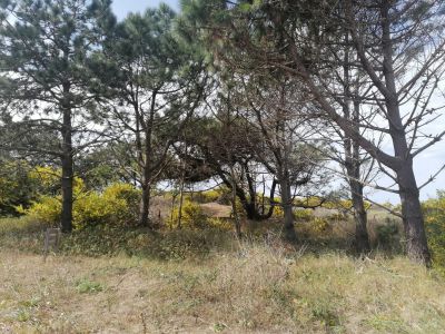 Terreno M248 S1 - Inmobiliaria Gerali