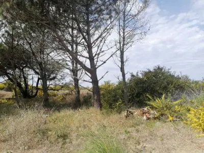 Terreno M248 S1 - Inmobiliaria Gerali