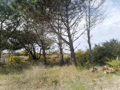 Terreno M248 S1 - Inmobiliaria Gerali