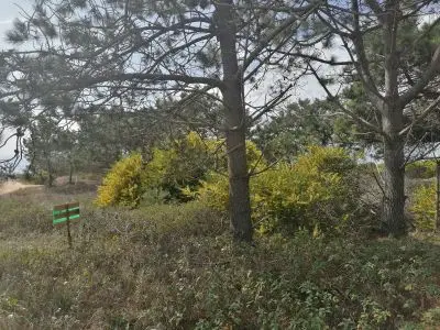 Terreno M248 S1 - Inmobiliaria Gerali