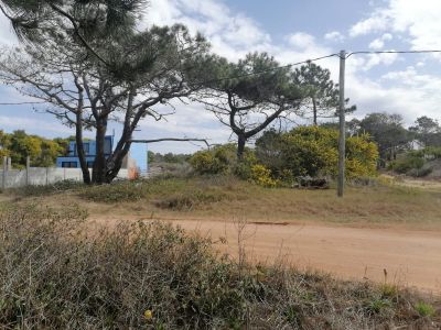Terreno M248 S1 - Inmobiliaria Gerali