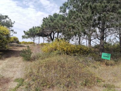 Terreno M.248 S.1