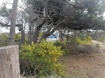 Terreno M248 S1 - Inmobiliaria Gerali