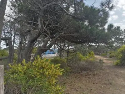 Terreno M248 S1 - Inmobiliaria Gerali