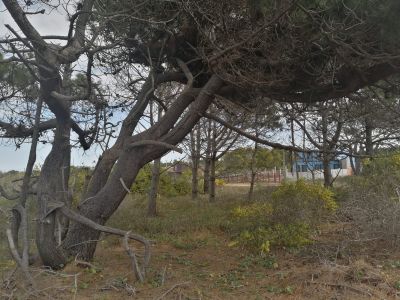 Terreno M248 S1 - Inmobiliaria Gerali