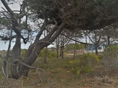 Terreno M248 S1 - Inmobiliaria Gerali