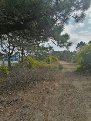 Terreno M248 S1 - Inmobiliaria Gerali