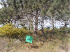 Terreno M248 S1 - Inmobiliaria Gerali