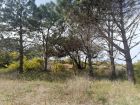 Terreno M248 S1 - Inmobiliaria Gerali
