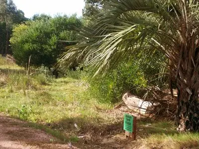 Terrenos Manz. 6 Solares 1 , 2 , 3 , y 4  Punta del Diablo