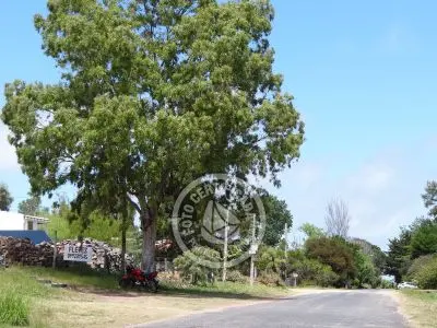 Construção e manutenção Barraca Servihome Playa Verde