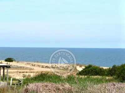 Mar Gordo - Mar - Punta del Diablo