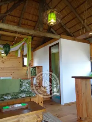 Mar Gordo - Algas - Punta del Diablo