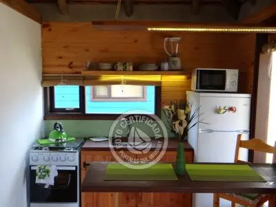 Mar Gordo - Algas - Punta del Diablo