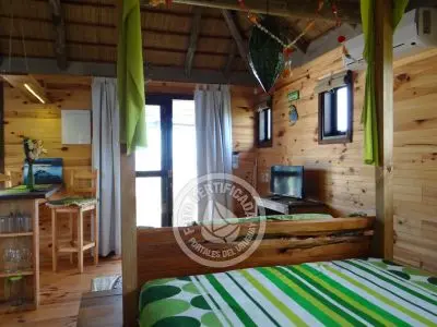 Mar Gordo - Algas - Punta del Diablo