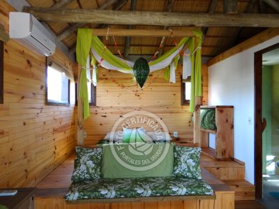 Mar Gordo - Algas - Punta del Diablo