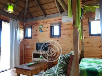 Mar Gordo - Algas - Punta del Diablo