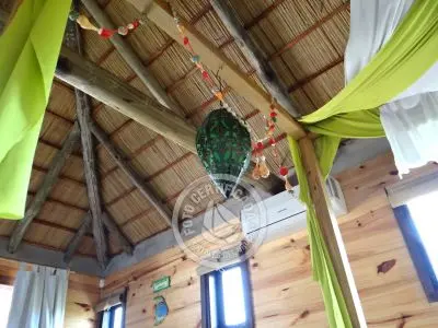 Mar Gordo - Algas - Punta del Diablo