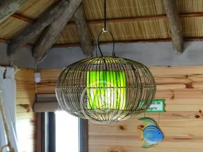 Mar Gordo - Algas - Punta del Diablo