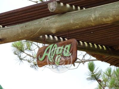 Villa Mar Gordo - Algas Punta del Diablo