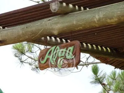 Villa Mar Gordo - Algas Punta del Diablo