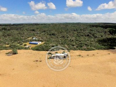 Inn Chez Silvia Suite Bistro & Cabañas Oceanía del Polonio