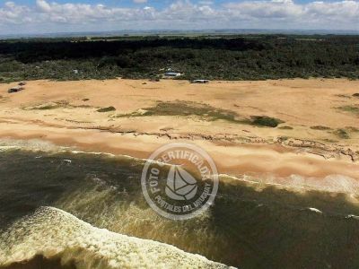 Inn Chez Silvia Suite Bistro & Cabañas Oceanía del Polonio