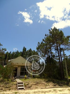 Chez Silvia - Le petite cabonon - Oceanía del Polonio