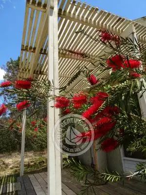 Chez Silvia - Le petite cabonon - Oceanía del Polonio