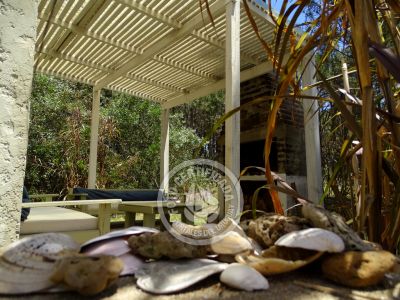 Chez Silvia - Le petite cabonon - Oceanía del Polonio