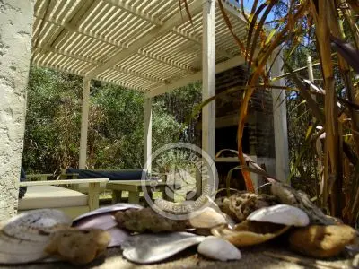 Chez Silvia - Le petite cabonon - Oceanía del Polonio