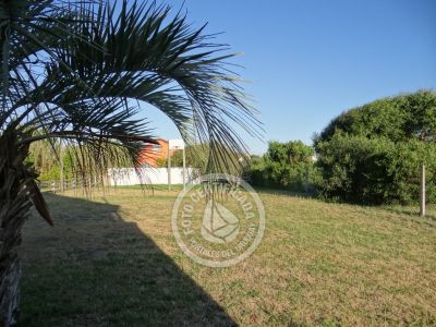 Cable a tierra - Aguas Dulces .- Foto del 16/12/15, 19:22