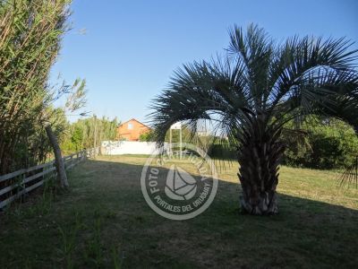 Cable a tierra - Aguas Dulces .- Foto del 16/12/15, 19:23