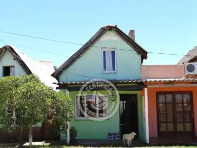 Conjunto Verde - Grande